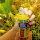 JBL Pronovo Color Flakes M, 100 ml | Prebiotisches Farbfutter