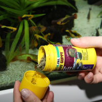 JBL Pronovo Guppy Flakes S | Prebiotisches Flockenfutter für Guppys