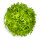 Rotala rotundifolia Hra 1-2-Grow!