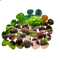 Crater Pebbles braun 20–30 mm | 2 kg Netz Hardscape-Steine für Aquascaping