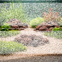 Crater Pebbles braun 20–30 mm | 2 kg Netz Hardscape-Steine für Aquascaping