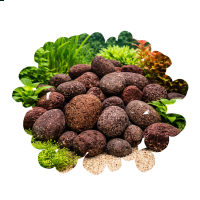 Crater Pebbles braun 20–30 mm | 2 kg Netz Hardscape-Steine für Aquascaping