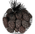 Crater Pebbles braun 20–30 mm | 2 kg Netz Hardscape-Steine für Aquascaping