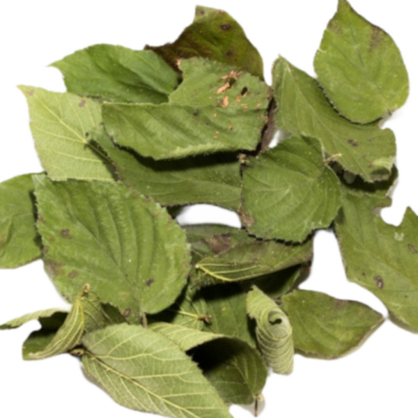 Nano Brombeer Laubblätter (grün getrocknet), 20 Blätter