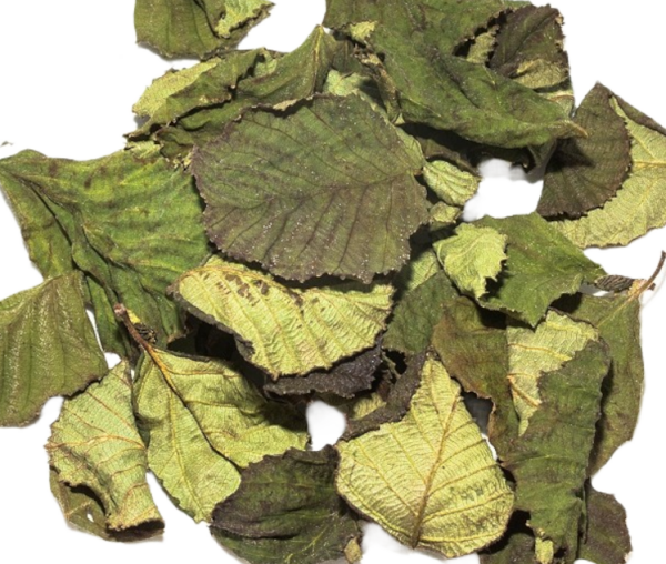 Nano Schwarzerlen Laubblätter (grün getrocknet), 20 Blätter