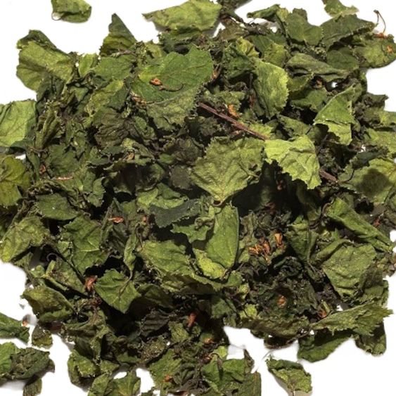 Nano Birken Laubblätter (grün getrocknet), 20 Blätter