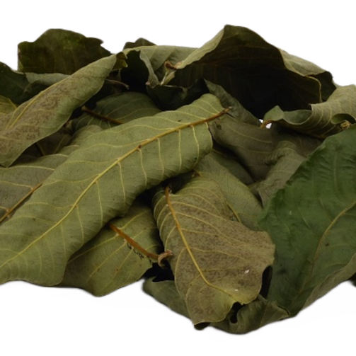 Walnusslaub (grün getrocknet), 25 Blätter