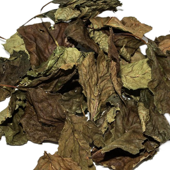 Schwarzerlenblätter (grün getrocknet), 30 Blätter