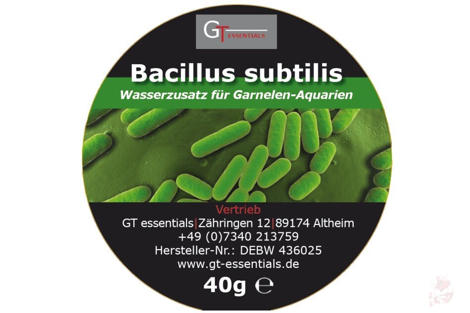 40 бактерий. Bacillus subtilis (Сенная палочка). Bacillus subtilis Макроморфология. Bacillus subtilis микроскопия. Штамм Bacillus subtilis колония.