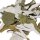 Nano Himbeer Laubblätter (grün getrocknet), 20 Blätter