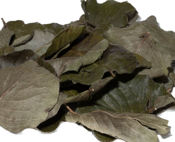Nano Birnen Laubblätter (grün getrocknet), 20 Blätter
