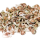 Moringa Oleifera Samen, 50 Stück