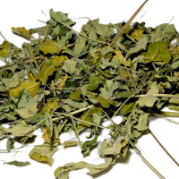Moringa Oleifera Laub (grün getrocknet), 10 g