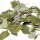 Walderdbeerblätter (grün getrocknet), 10 Blätter