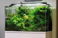 Aquael Leddy Slim Plant 32W, Aufsetzlampe (EEK: A) für 80 - 100 cm breite Aquarien - Abverkauf