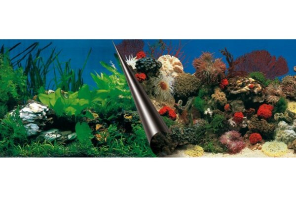 Aquarium Rückwandfolie Stone & Coral, 60 x 30 cm