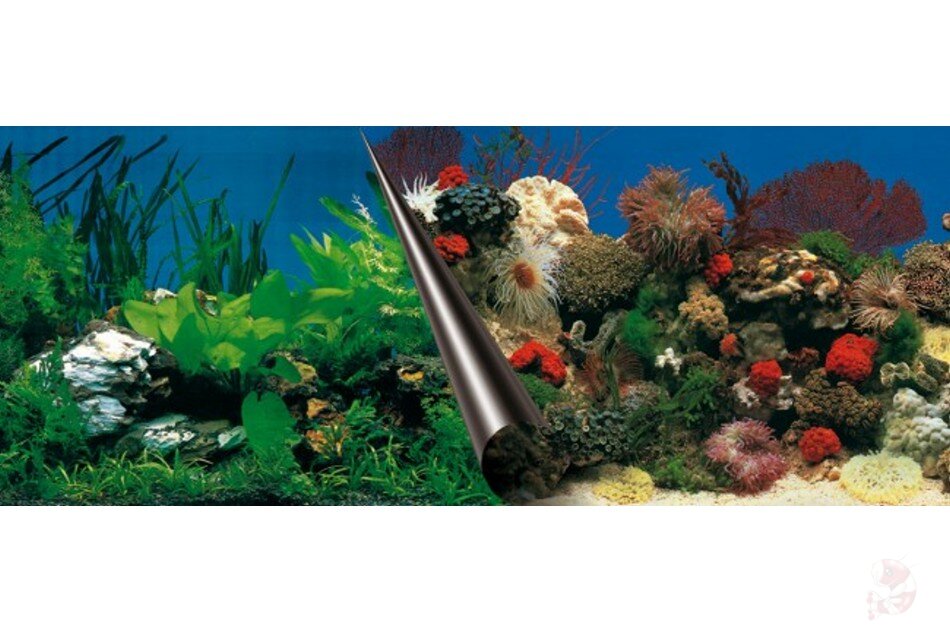 Aquarium Rückwandfolie Stone & Coral, 120 x 50 cm