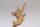 Moorkien Fingerwurzel #581 - "Little Scorpion" 22x11x12 cm (LxBxH)