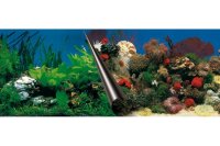 Aquarium Rückwandfolie Stone & Coral  (verschiedene Größen)